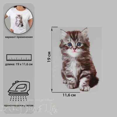  Трансфер по ткани «Котёнок», 11,6 × 19 см
