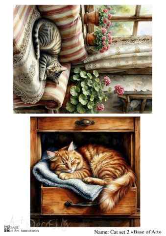 Карта для декупажа А4 Cat set 2