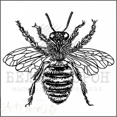 Штамп фотополимерный "Пчела" 4 х 3.5 см. 