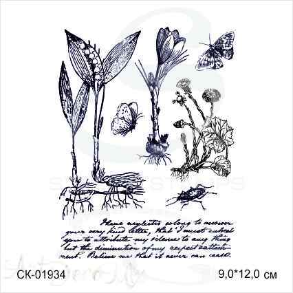 Штамп фотополимерный "Набор гербарий с бабочками и текстом " 