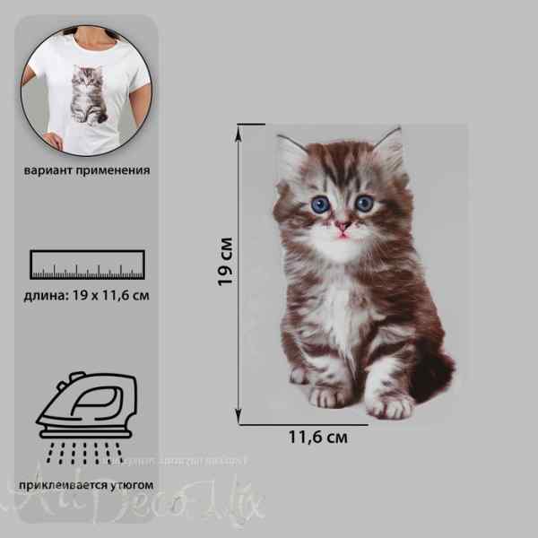  Трансфер по ткани «Котёнок», 11,6 × 19 см