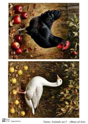 Карта для декупажа А4 Animals set 5