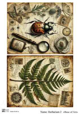 Карта для декупажа А4 Herbarium 2