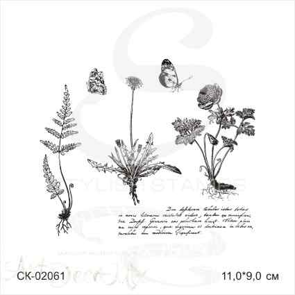 Штамп фотополимерный "Набор гербарий с купальницей, папоротником, одуванчиком" " 
